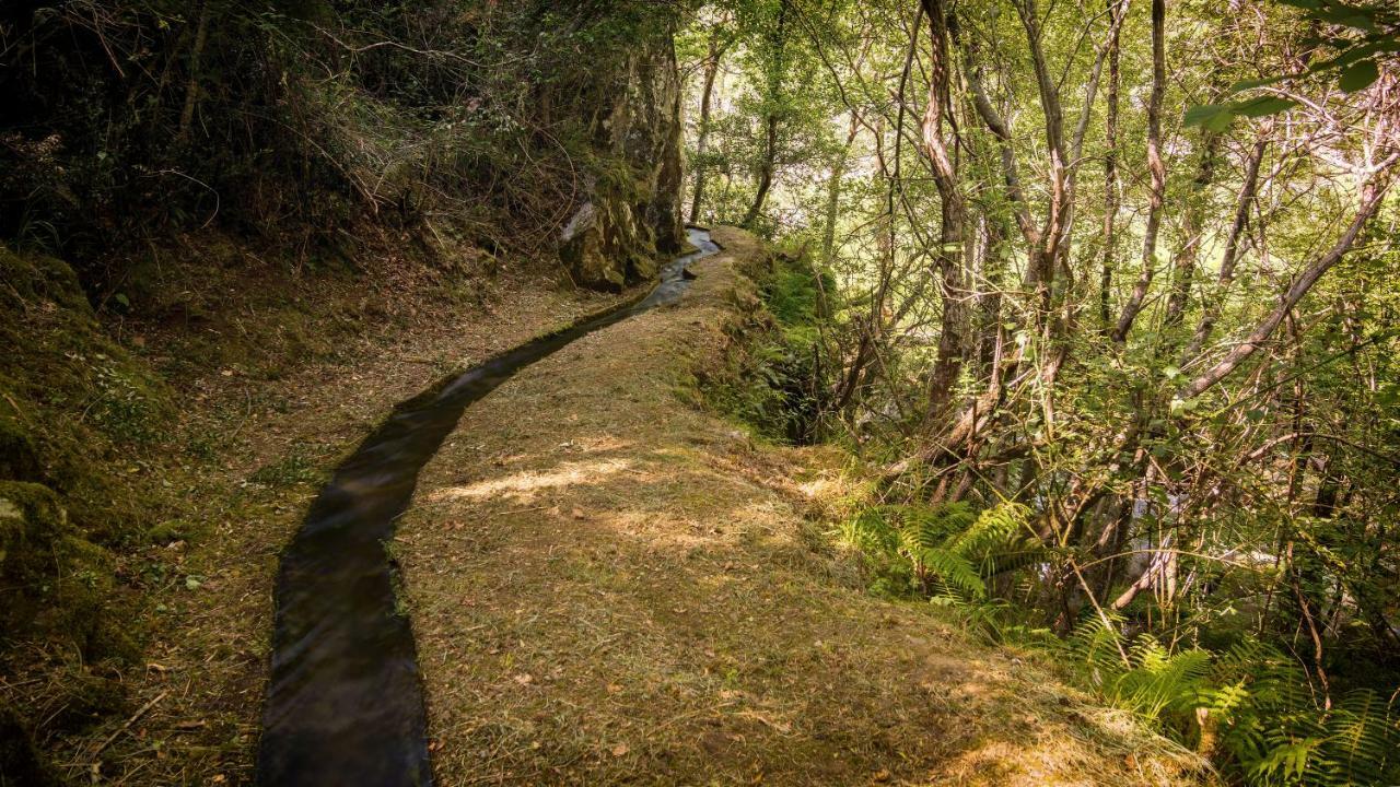 Casa Da Avo Ana Alvao Villa Bilho Buitenkant foto